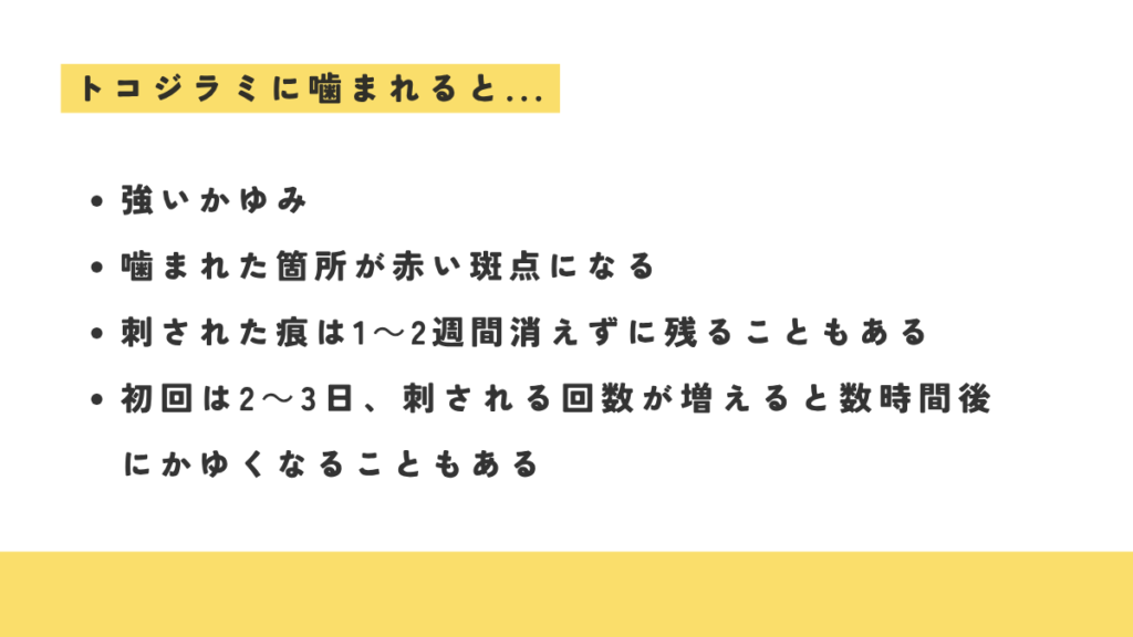 トコジラミに噛まれると以下のような症状