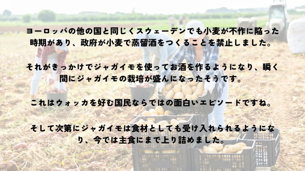 ジャガイモが主食になったきっかけ