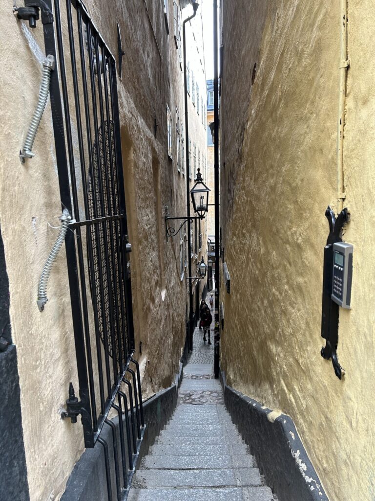 ストックホルムで一番細い小道