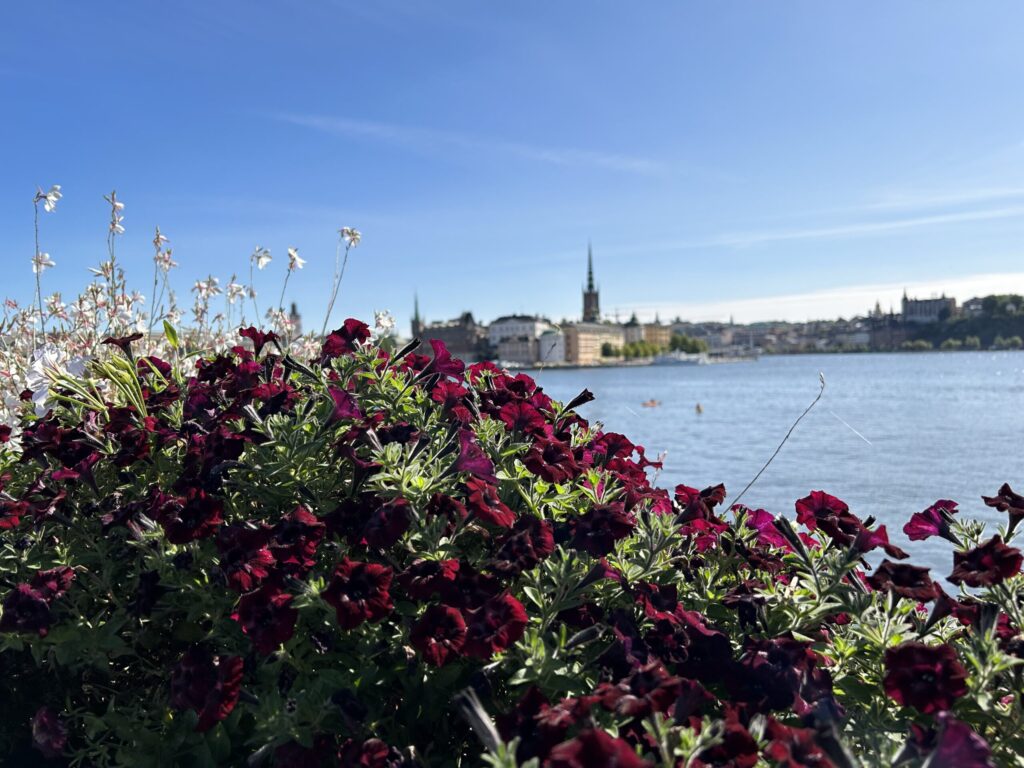 ストックホルム市庁舎近くからキレイな写真